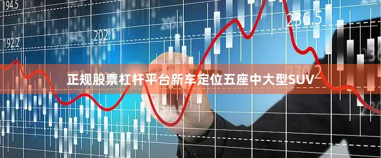 正规股票杠杆平台新车定位五座中大型SUV