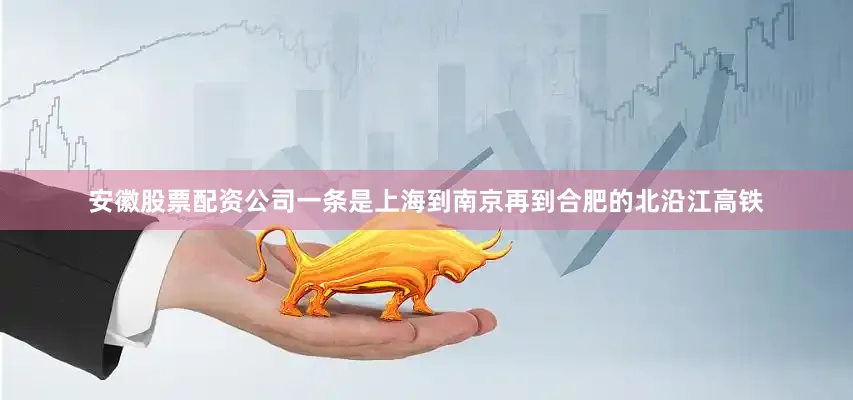 安徽股票配资公司一条是上海到南京再到合肥的北沿江高铁